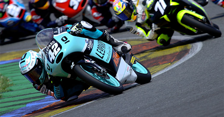 marcos-ramirez-leopard-valencia.jpg