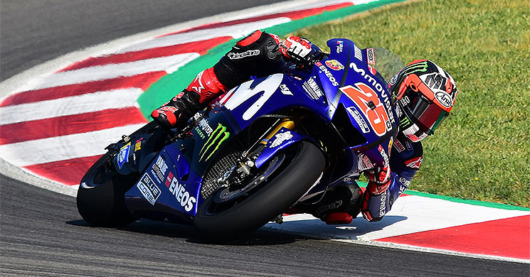 viales maverick