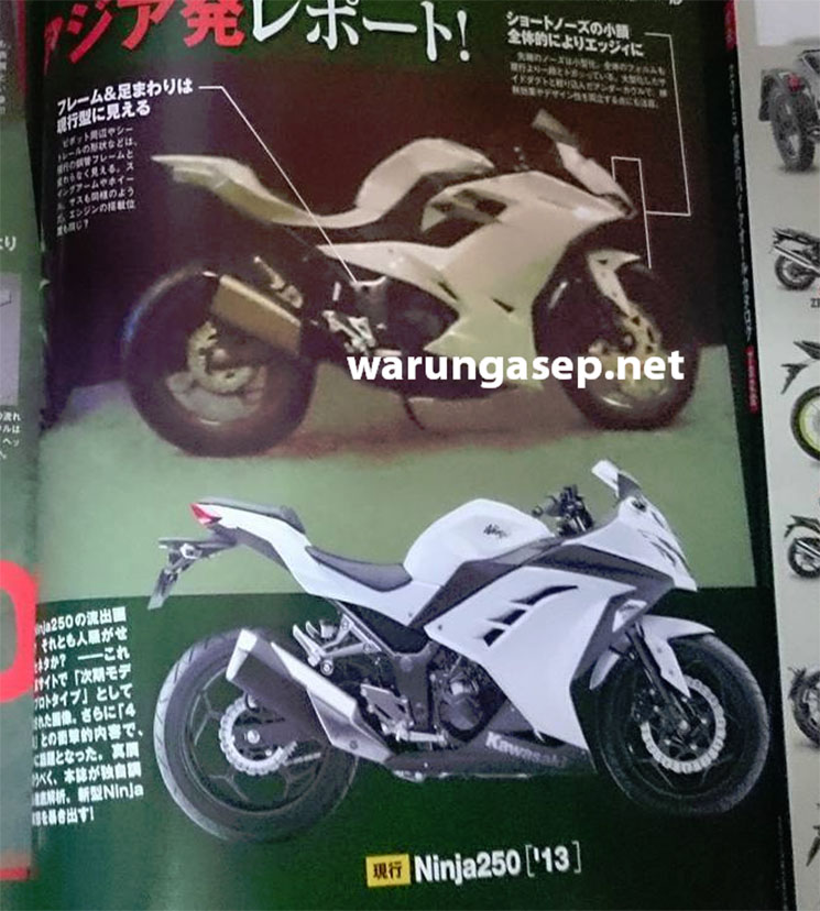 ninja300-2017-3.jpg