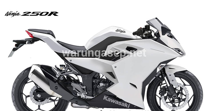 ninja300-2017.jpg