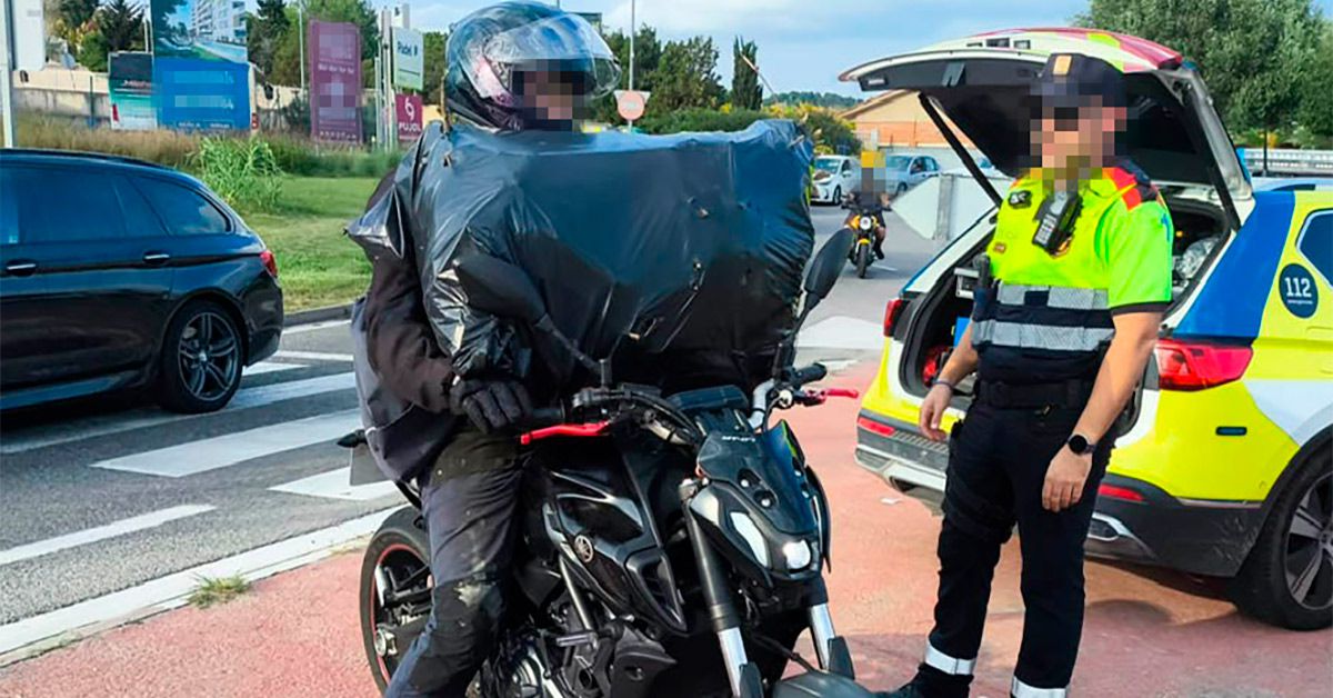 mossos