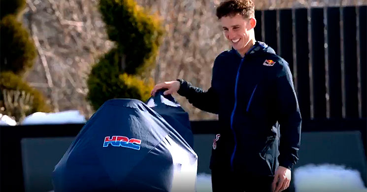 /polespargaro-sorpresa.jpg