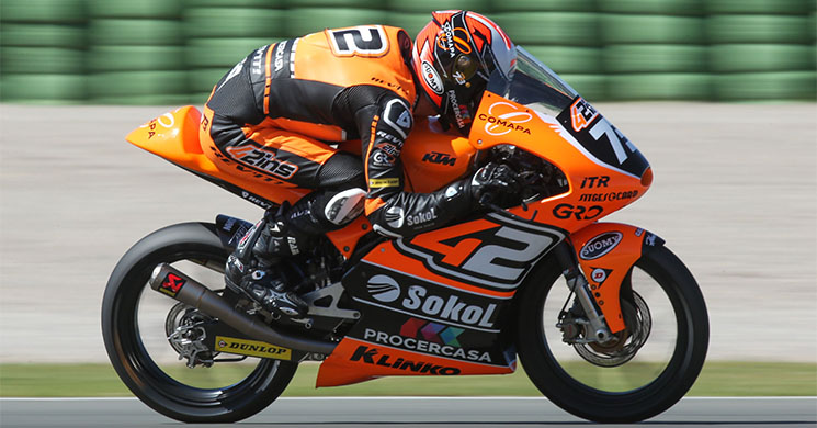 procercasa-rins42.jpg