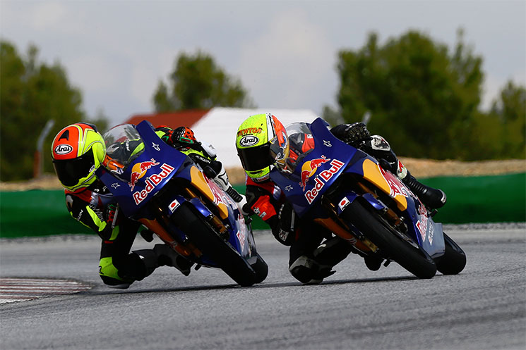rookies-cup-guadix.jpg