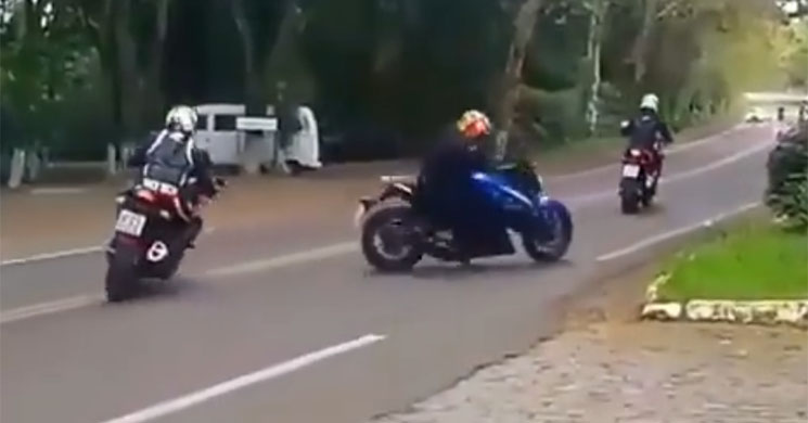/salvada.jpg