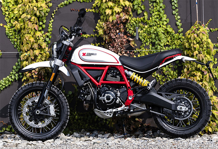 ducati scrambler desert sled