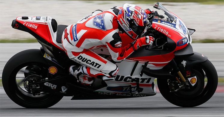 stoner-ducati-gp15.jpg
