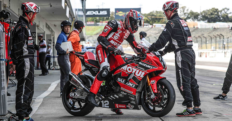 suzuki endurance