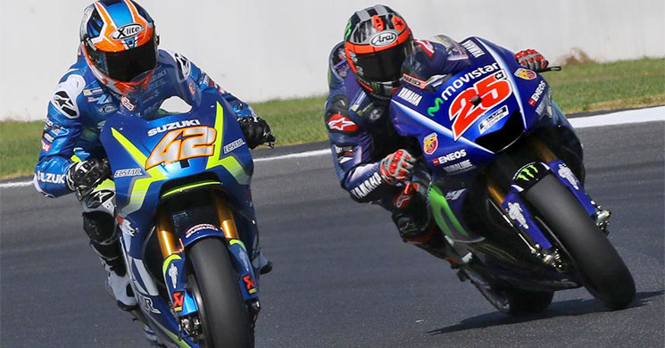 viales rins