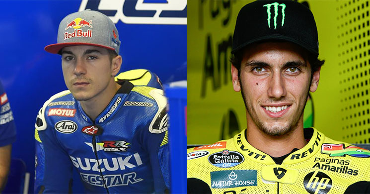 viales rins