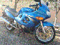 Avatar de Danigsx600f