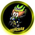 Avatar de Fernando G.Merchn