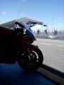 Honda Cbr 600 Rr 2004 (estoril)