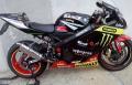 Gsxr - Monster 