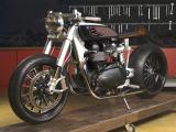 Thruxton Baskhara por White Collar Bikes