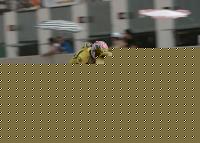 Chispiracing