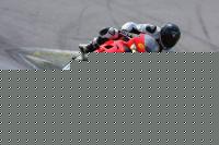 DaniFireblade