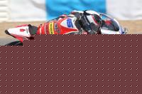 Fedster