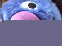 PepeA