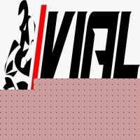 VIALMOTOR