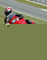 hector55