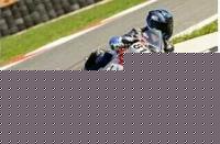 jorge81