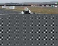 kimi