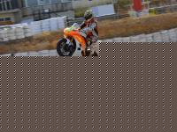 monty43