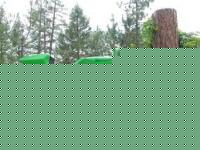 /perfil/pumalainen