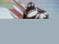 rafar6r