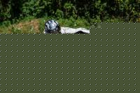 /perfil/robergijongsxr600