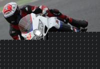 wayne_rainey