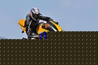 xelman83