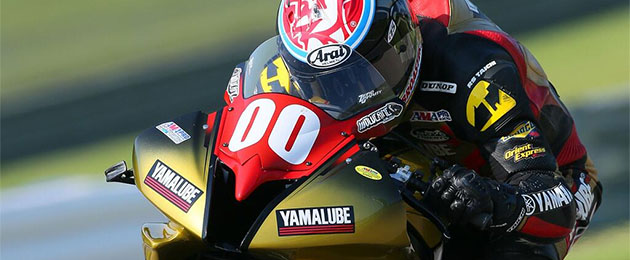 dane westby