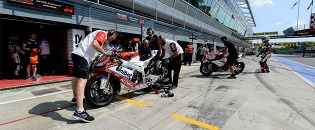 althea aprilia