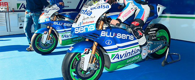 avintia blusens