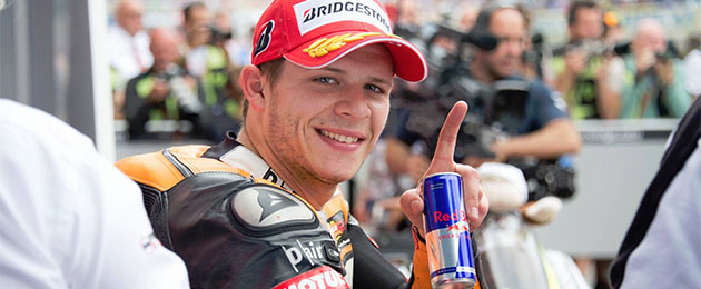 bradl 2015