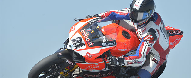 bayliss australia