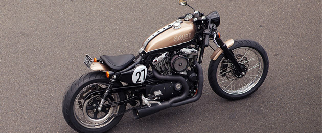 bald terrier 1200 deus ex machina