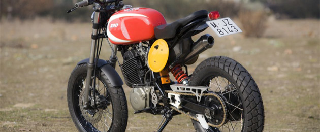 radical ducati xt 600
