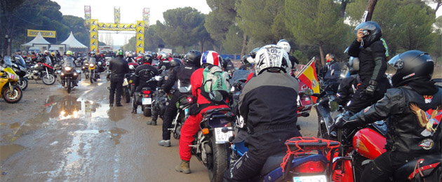 pinguinos 2012