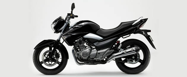 suzuki inazuma 250 2012