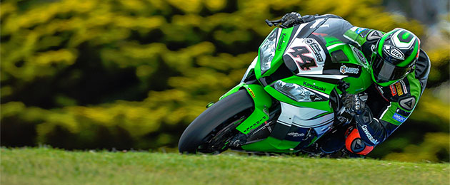 david salom australia