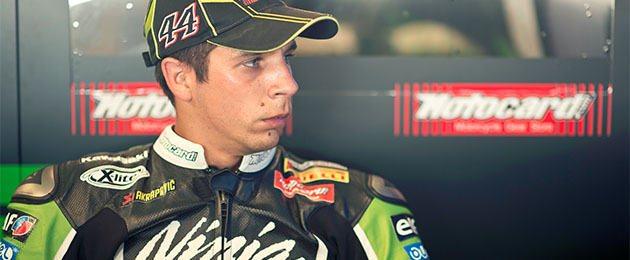 david salom
