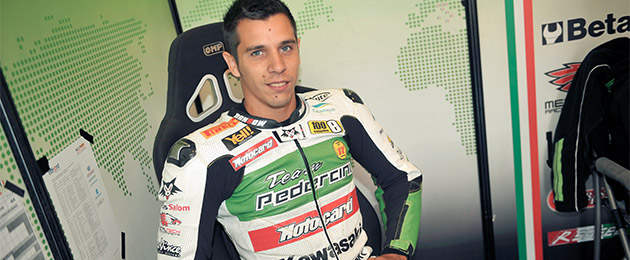 david salom pedercini