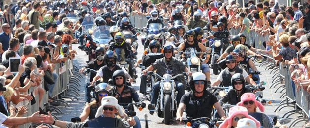 harley davidson hog