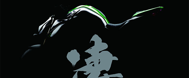 kawasaki z1000 2014