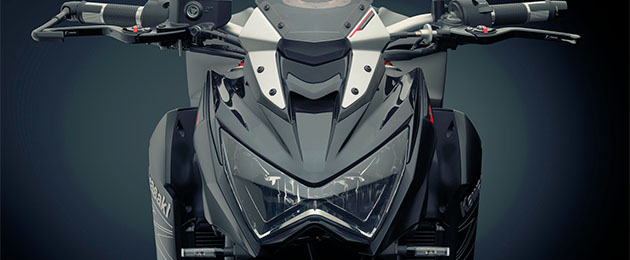 kawasaki z1000 rizoma