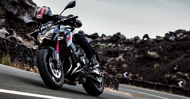 kawasaki-z800-sugomi-2016.jpg
