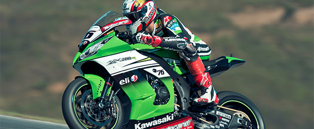 loris baz 2014